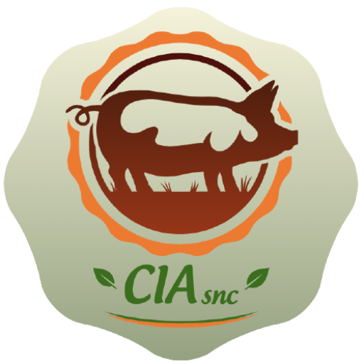 C.I.A. Di Leonardi C. E De Angelis M.G. E C. Snc Icon